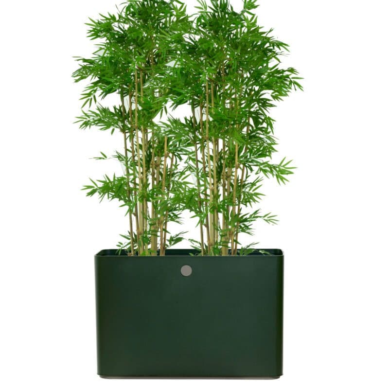 Cane-line "Grow" Pflanzgefäß Aluminium dunkelgrün/taupe, 90x30 cm