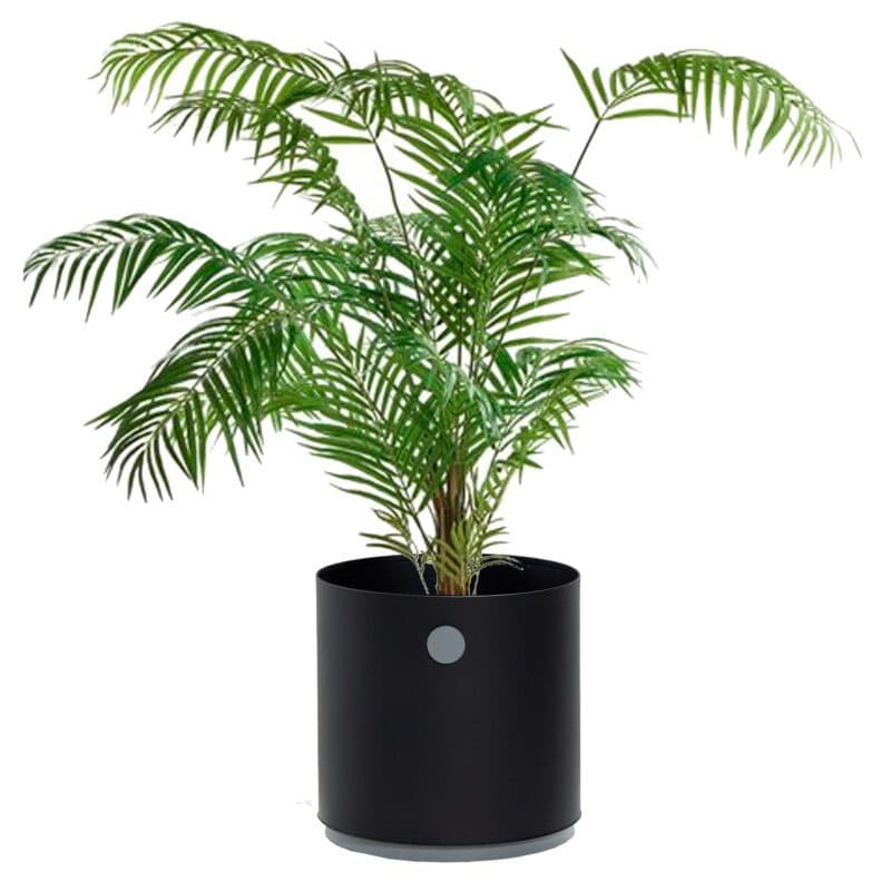 Cane-line "Grow" Pflanzgefäß Aluminium lavagrau/hellgrau, ⌀ 38 cm