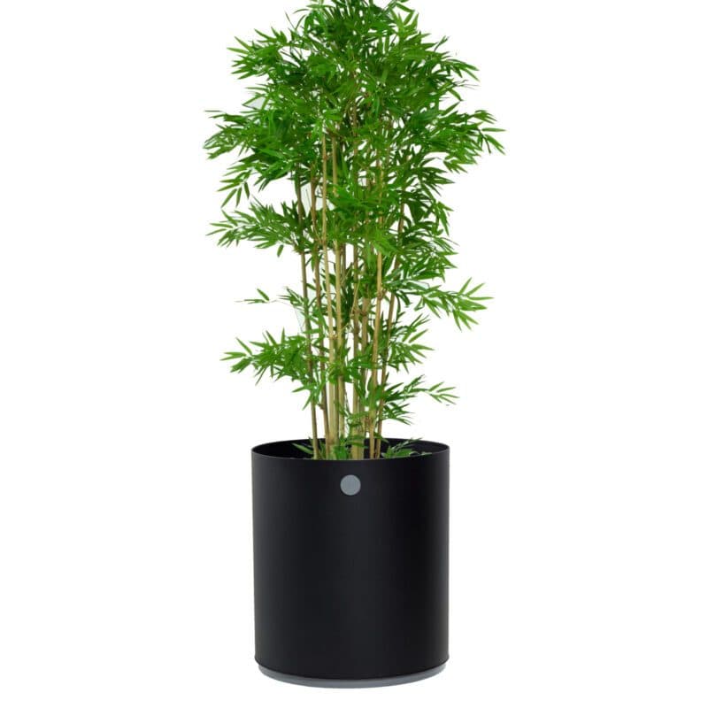 Cane-line "Grow" Pflanzgefäß Aluminium lavagrau/hellgrau, ⌀ 54 cm
