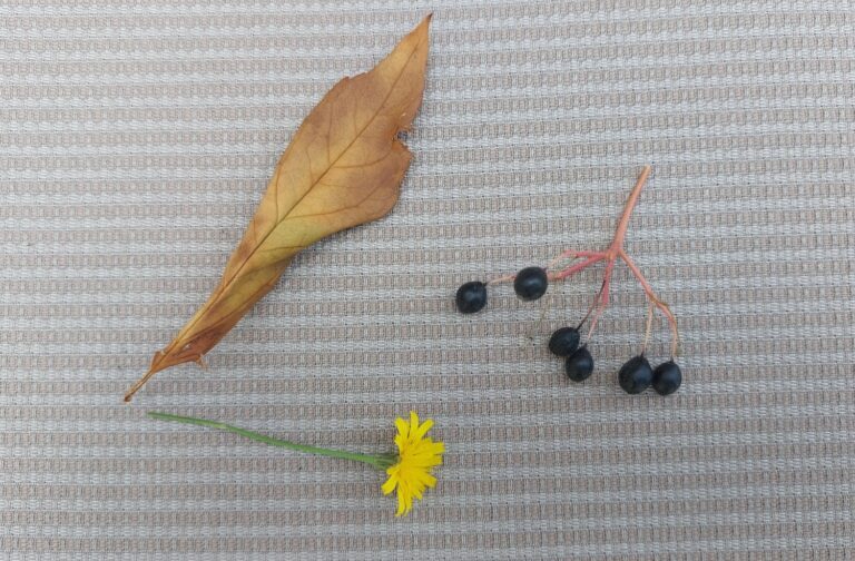Laub, Blüten und Beeren auf einem hellen Kissenstoff